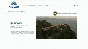 Azulejo IMMO preview